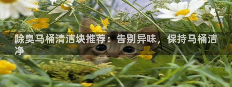 尊龙凯时 人生就是搏 平台