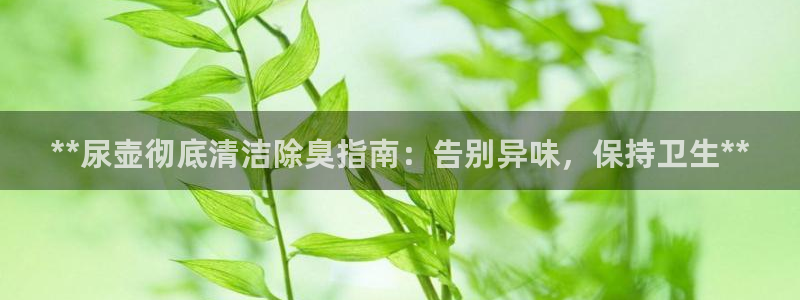 尊龙凯时白家乐Abb下载