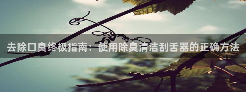 尊龙凯时怎么样没听说过
