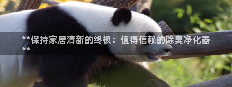 尊龙休闲e站怎么样