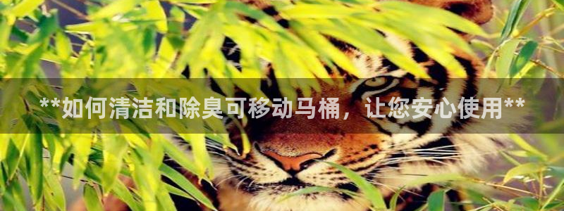 尊龙官方平台