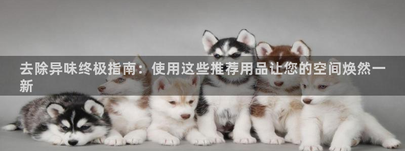 尊龙凯时的钱能退回来吗
