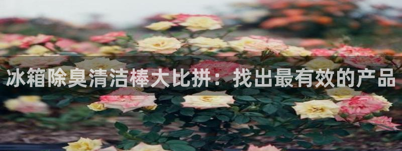 尊龙凯时 人生就是搏 平台