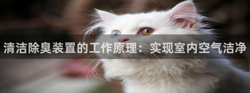 尊龙凯时ag旗舰厅登陆
