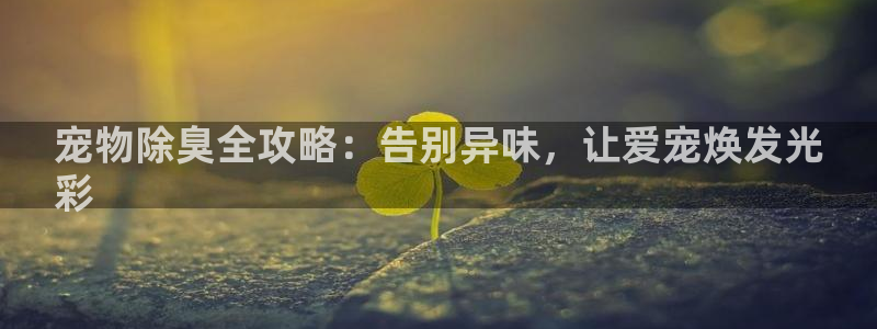 尊龙体育电竞官网