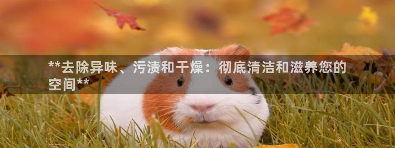 尊龙人生就是博D88