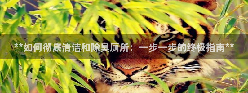 尊龙凯时一人生就是博官网