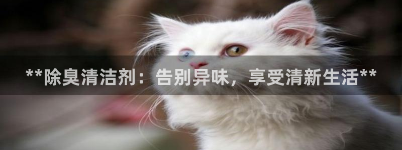尊龙游戏中心