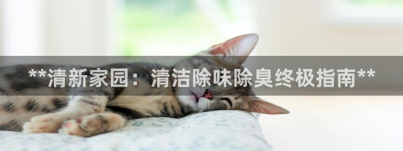 尊龙百度百科