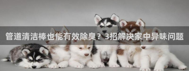 尊龙凯时ag旗舰厅登陆