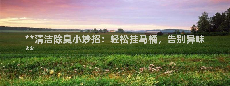 凯时平台登录：**清洁除臭小妙招：轻松挂马桶，告别异味
