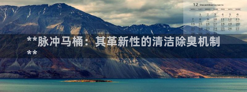 尊龙人生就是博登录网址下载：**脉冲马桶：其革新性的清洁