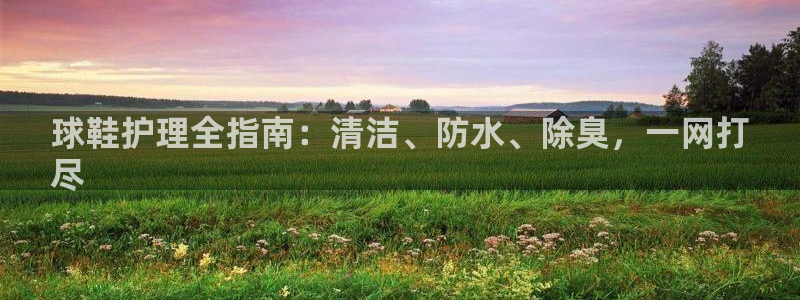 尊龙,人生就是博!登录国际：球鞋护理全指南：清洁、防水、
