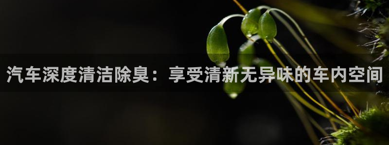 KB88凯时官网登录：汽车深度清洁除臭：享受清新无异味的