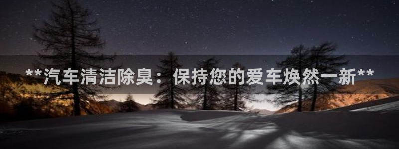 尊龙网站登录：**汽车清洁除臭：保持您的爱车焕然一新**