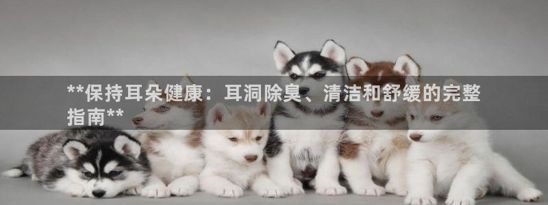 尊龙凯时人生就是搏z6com