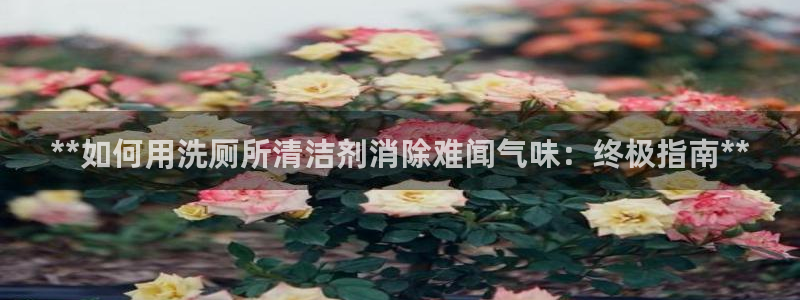 尊龙凯时人生就是博游戏网站