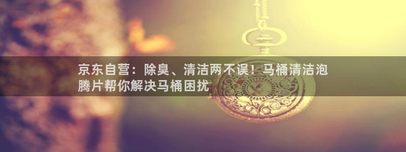 尊龙凯时官网版登录：京东自营：除臭、清洁两不误！马桶清洁