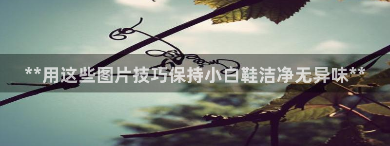 尊龙凯时法拉币