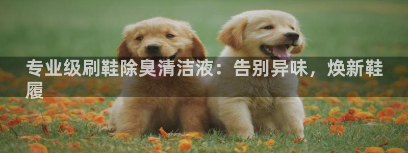 尊龙一人生就是博电子游戏
