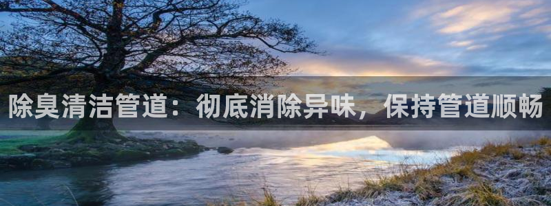 尊龙凯时官方网页：除臭清洁管道：彻底消除异味，保持管道顺