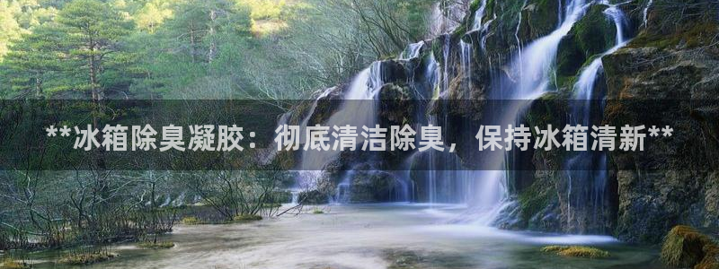 尊龙官方网站