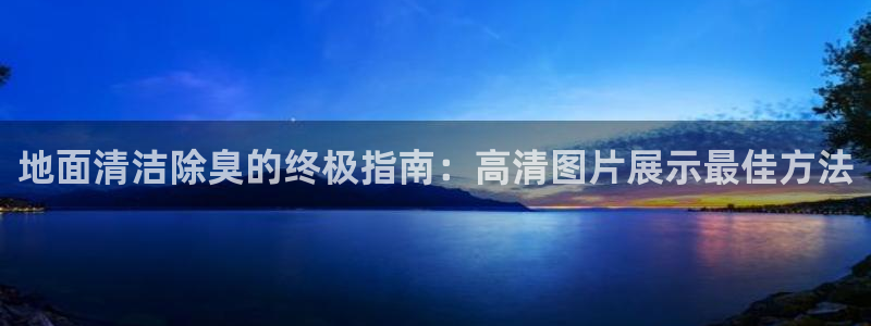尊龙-人生就是博：地面清洁除臭的终极指南：高清图片展示最