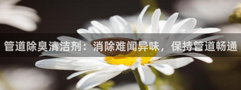 尊龙凯时导航菜单首页