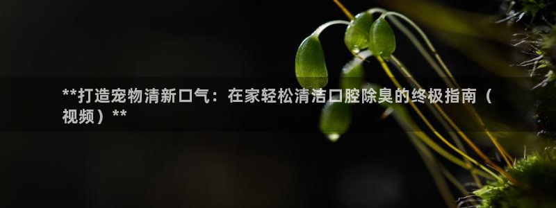 尊龙手机官方客户端下载安装