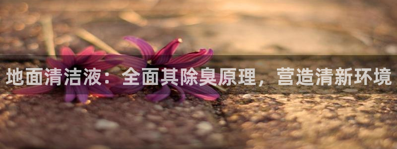 z6尊龙凯时旗