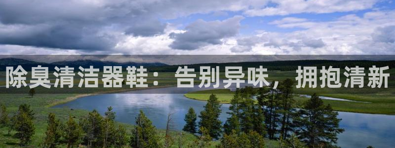 尊龙凯时取款24小时不到账：除臭清洁器鞋：告别异味，拥抱