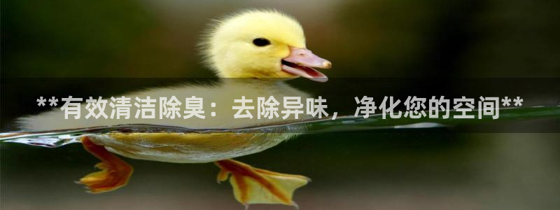 尊龙得过奥斯卡吗