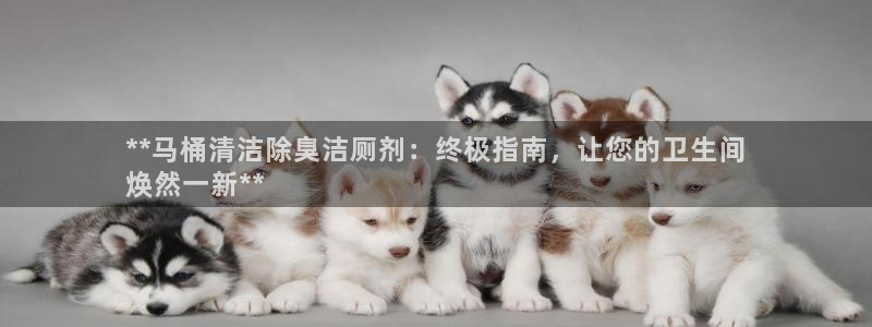 尊龙凯时下载官方正版