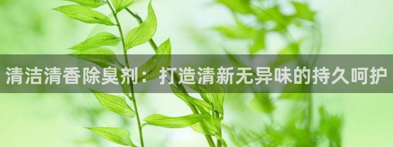 凯时APP官网首页