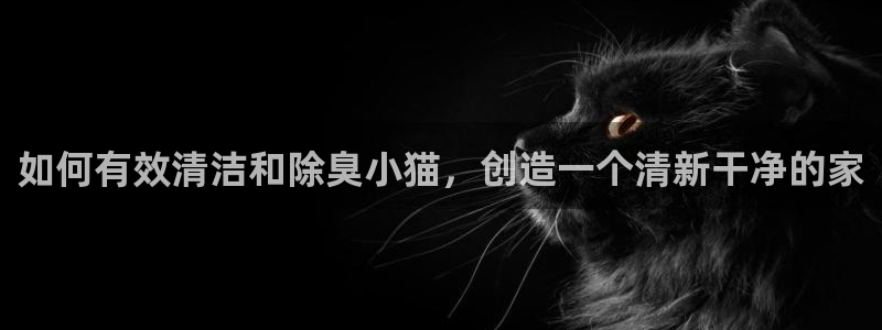 尊龙凯时企业文化