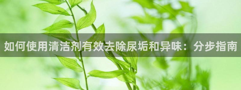 尊龙人生就是搏