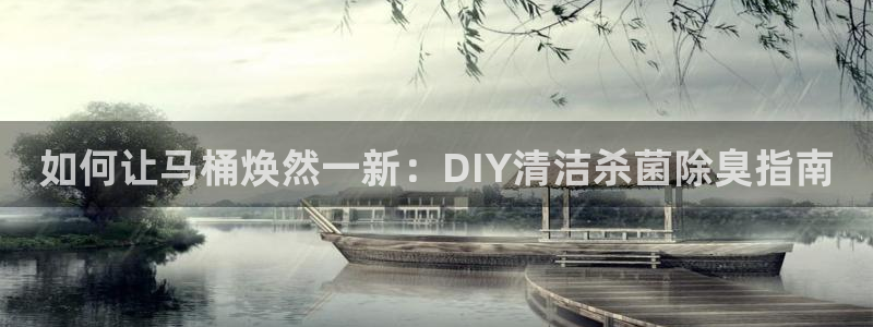 z6尊龙平台是哪里的：如何让马桶焕然一新：DIY清洁杀菌