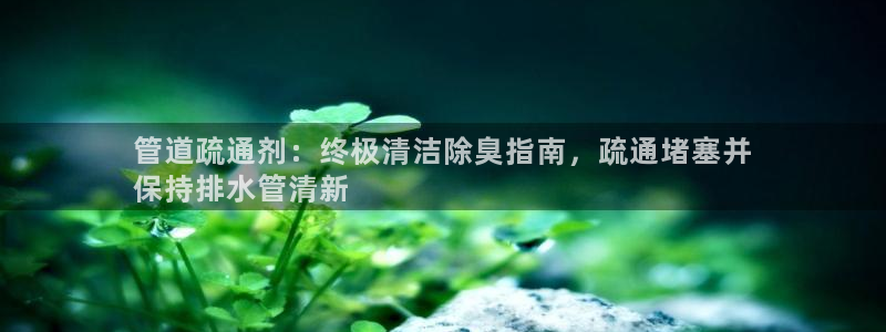 尊龙凯时代理能提出来不