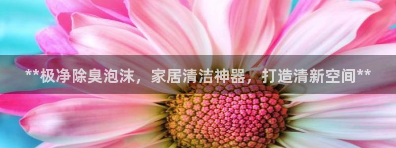 ag尊龙凯时集团