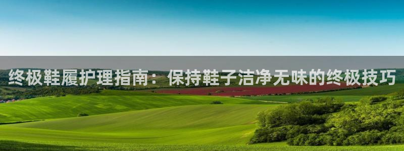尊龙手机官方客户端下载安装