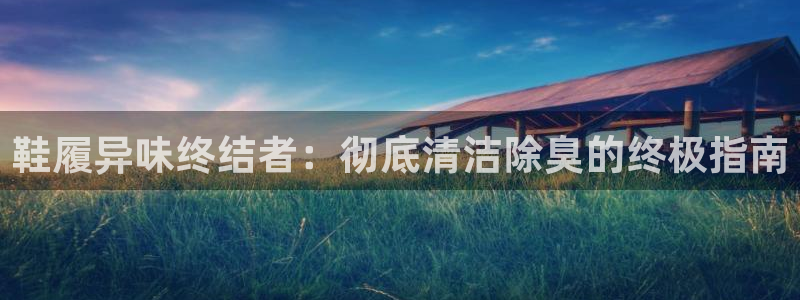 尊龙集团有限公司：鞋履异味终结者：彻底清洁除臭的终极指南