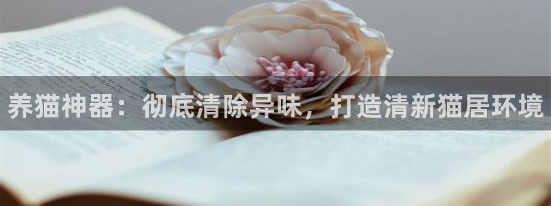 尊龙新版登录网址下载：养猫神器：彻底清除异味，打造清新猫