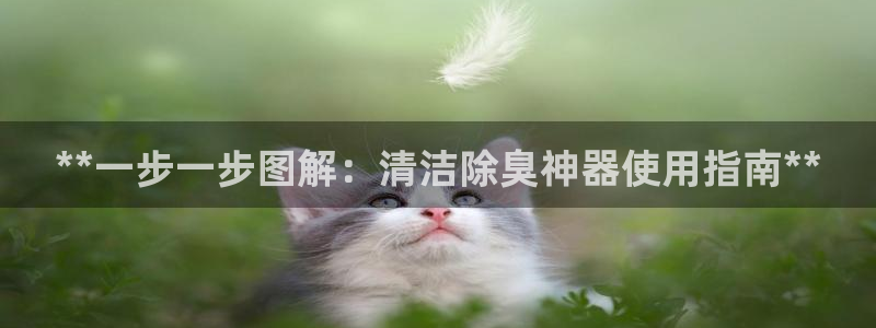 尊龙官网登录·(中国)官方网站-bd SPORTS：**
