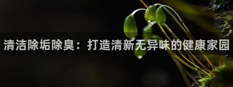 尊龙500价格：清洁