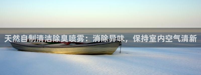 尊龙凯时登陆：天然自制清洁除臭喷雾：消除异味，保持室内空