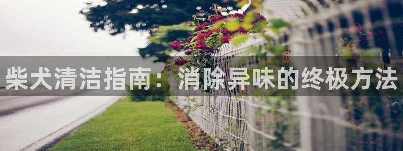 尊龙d88皆选ag发财网