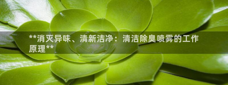 尊龙现金一下S选来就送38