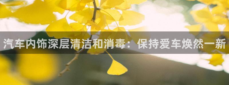 z6尊龙凯时旗：汽车内饰深层清洁和消毒：保持爱车焕然一新