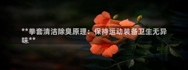 凯时赢来就送38
