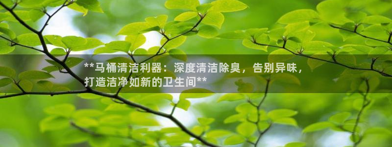 尊龙人生就是博旧版现：**马桶清洁利器：深度清洁除臭，告